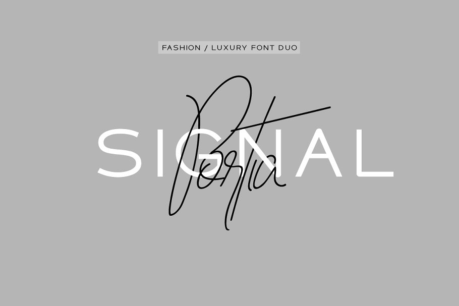 Signal
